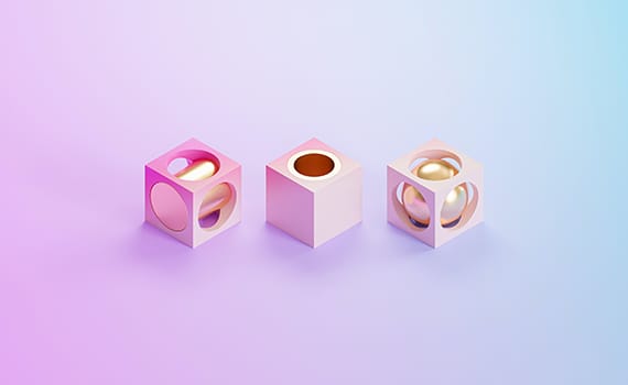 portfolio Item