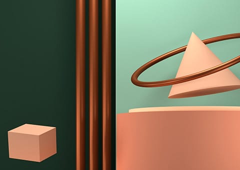 portfolio Item